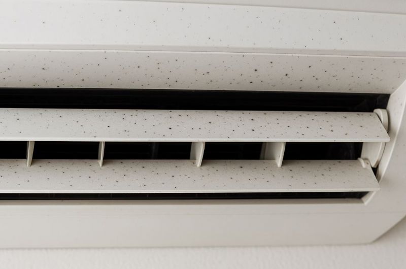 冷氣出風口出現小黑點？當心黴菌滋生影響健康！